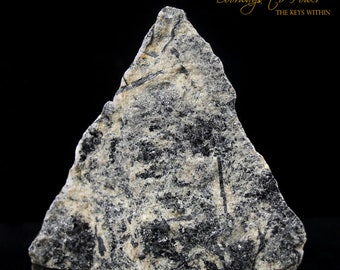 May include: A triangular piece of black and white metamorphic rock with a rough, textured surface. The rock has a natural, organic look and feel.
