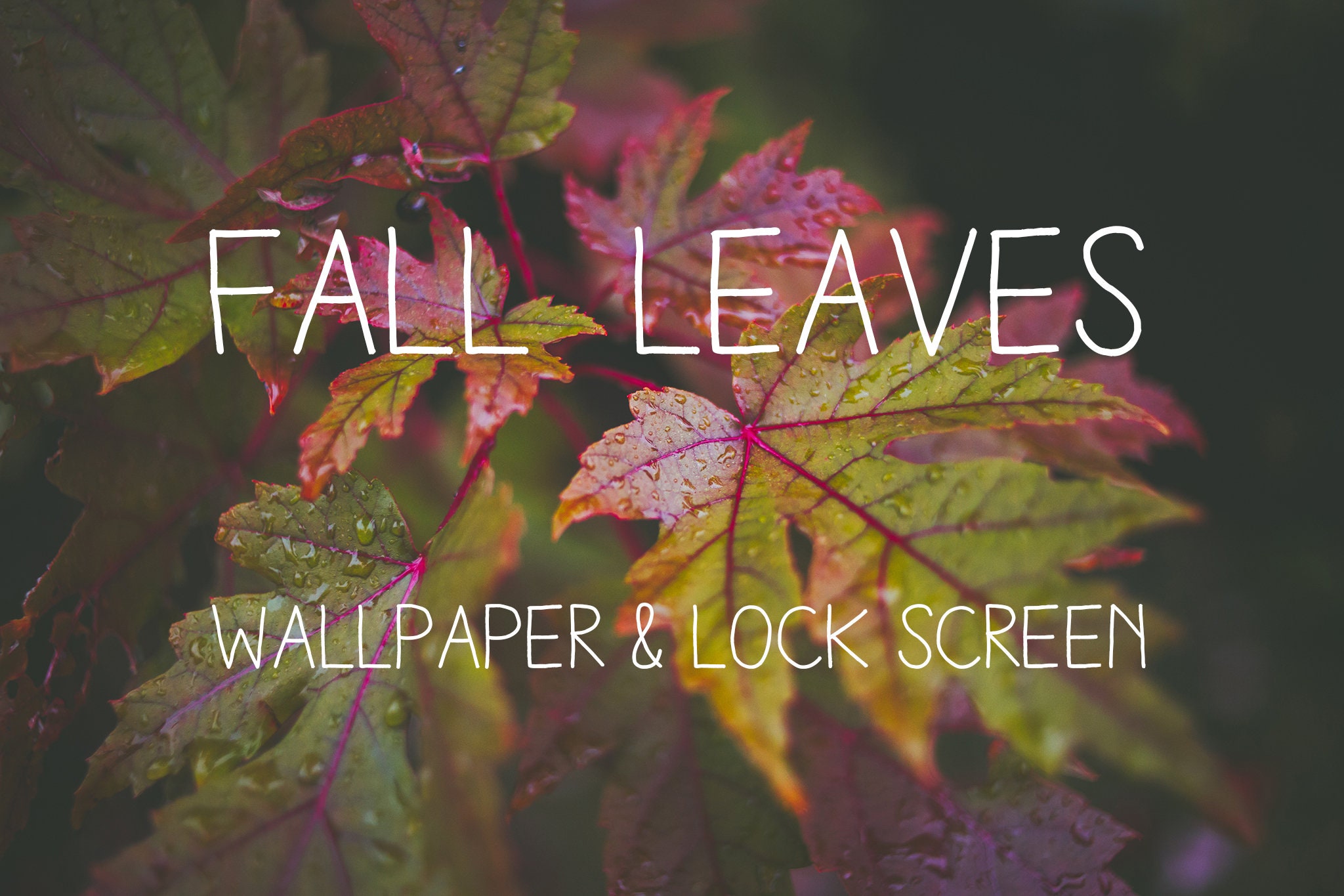 Fall Leaves Wallpaper Lock Screen Background iPhone | Etsy