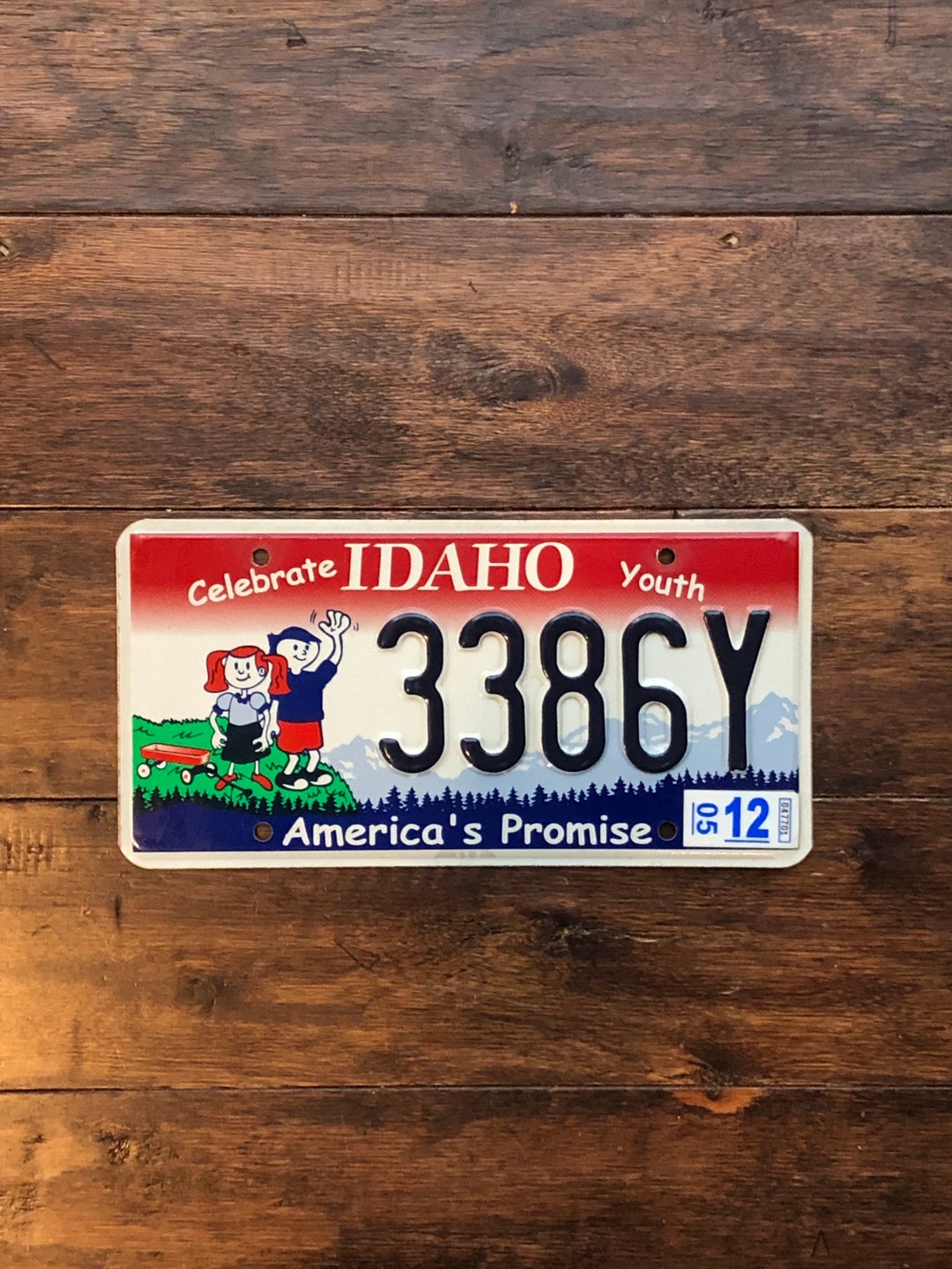 License Plate Idaho Americas Promise Celebrate Youth, Idaho Speciality