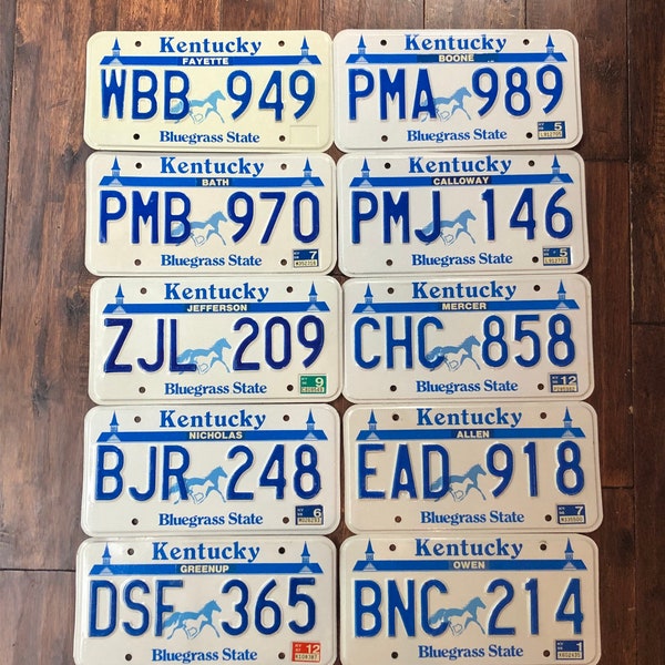 Horse License Plate Etsy