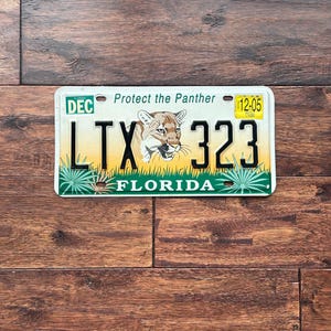 License Plate Florida, Florida license plate protect the panther, license plate Florida 2005, Florida speciality license plate, fl license