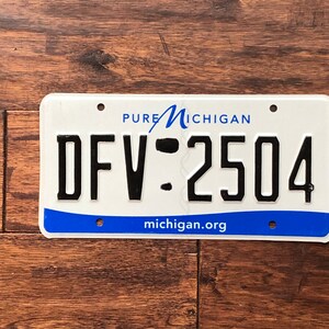 Op de afbeelding: Een wit kenteken van Michigan met blauwe letters en een blauw-wit Pure Michigan-logo. Het kentekennummer is DFW-2504. De website michigan.org staat onderaan de kentekenplaat gedrukt.