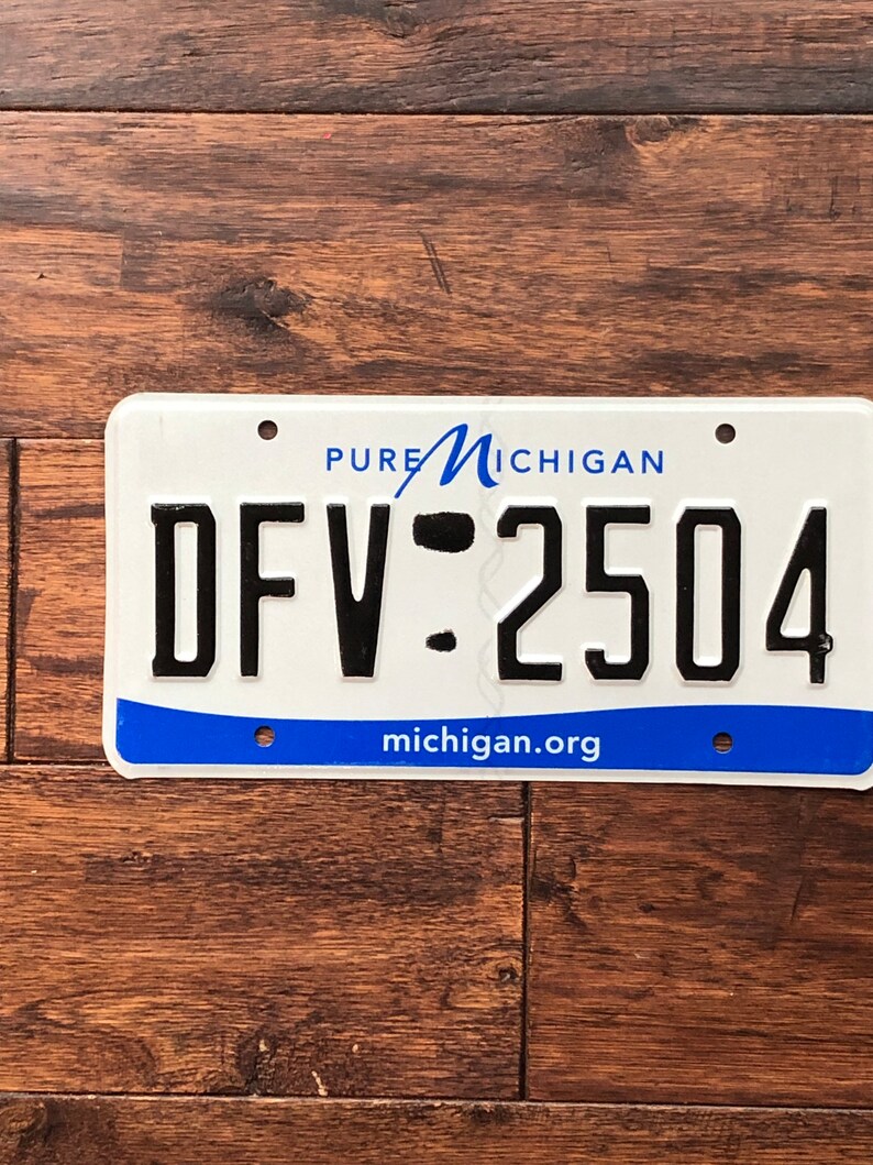 Op de afbeelding: Een wit kenteken van Michigan met blauwe letters en een blauw-wit Pure Michigan-logo. Het kentekennummer is DFW-2504. De website michigan.org staat onderaan de kentekenplaat gedrukt.