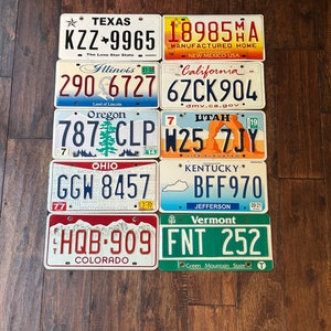 License Plates 10 Different States Collector Starter Pack , Lot of 10 License Plates for crafting,  art-craft grade condition, cheap license
