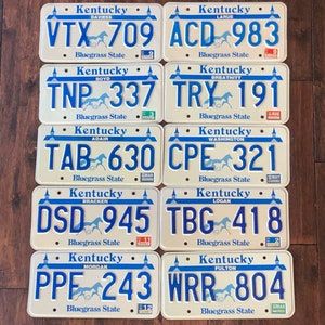 Kentucky choice of license plate, pick your plate,  license plate bluegrass state Kentucky 1989 1990 1991 1994 1996 1997 1998, kY license