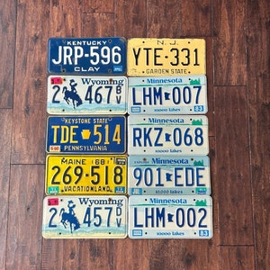 License plate choice, all authentic license plates Kentucky New Jersey Wyoming Kansas Minnesota maine Pennsylvania,  vintage license plates