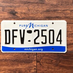 Op de afbeelding: Een wit kenteken van Michigan met blauwe en zwarte letters. De plaat heeft bovenaan "PURE MICHIGAN", in het midden "DFV-2504" en onderaan "michigan.org".