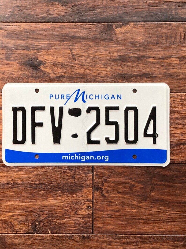 Op de afbeelding: Een wit kenteken van Michigan met blauwe en zwarte letters. De plaat heeft bovenaan "PURE MICHIGAN", in het midden "DFV-2504" en onderaan "michigan.org".