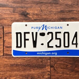 Op de afbeelding: Een wit kenteken van Michigan met blauwe letters en een blauw golfontwerp. Het kentekennummer is "DFV-2504". De tekst "PURE MICHIGAN" en "michigan.org" zijn ook zichtbaar.