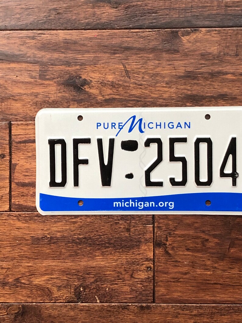 Op de afbeelding: Een wit kenteken van Michigan met blauwe letters en een blauw golfontwerp. Het kentekennummer is "DFV-2504". De tekst "PURE MICHIGAN" en "michigan.org" zijn ook zichtbaar.