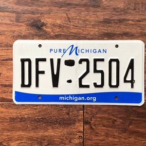 Op de afbeelding: Een wit Michigan kenteken met blauwe letters en een blauw golfontwerp. De plaat heeft de tekst "PURE MICHIGAN" en "DFV-2504" met de website "michigan.org" onderaan.