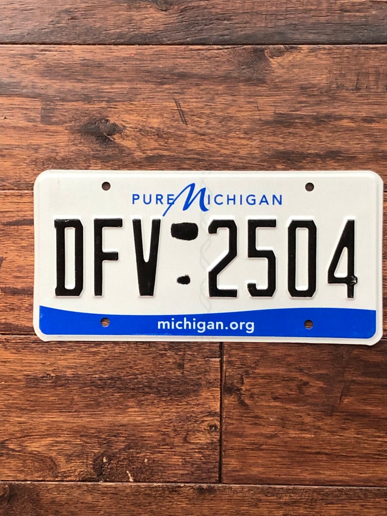 Op de afbeelding: Een wit Michigan kenteken met blauwe letters en een blauw golfontwerp. De plaat heeft de tekst "PURE MICHIGAN" en "DFV-2504" met de website "michigan.org" onderaan.