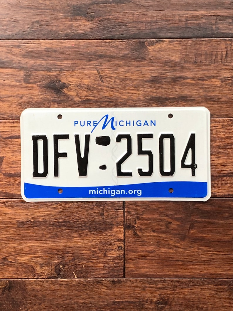 Op de afbeelding: Een wit kenteken van Michigan met een blauwe rand en de tekst "PURE MICHIGAN" en "michigan.org". Het kentekennummer is "DFV-2504".