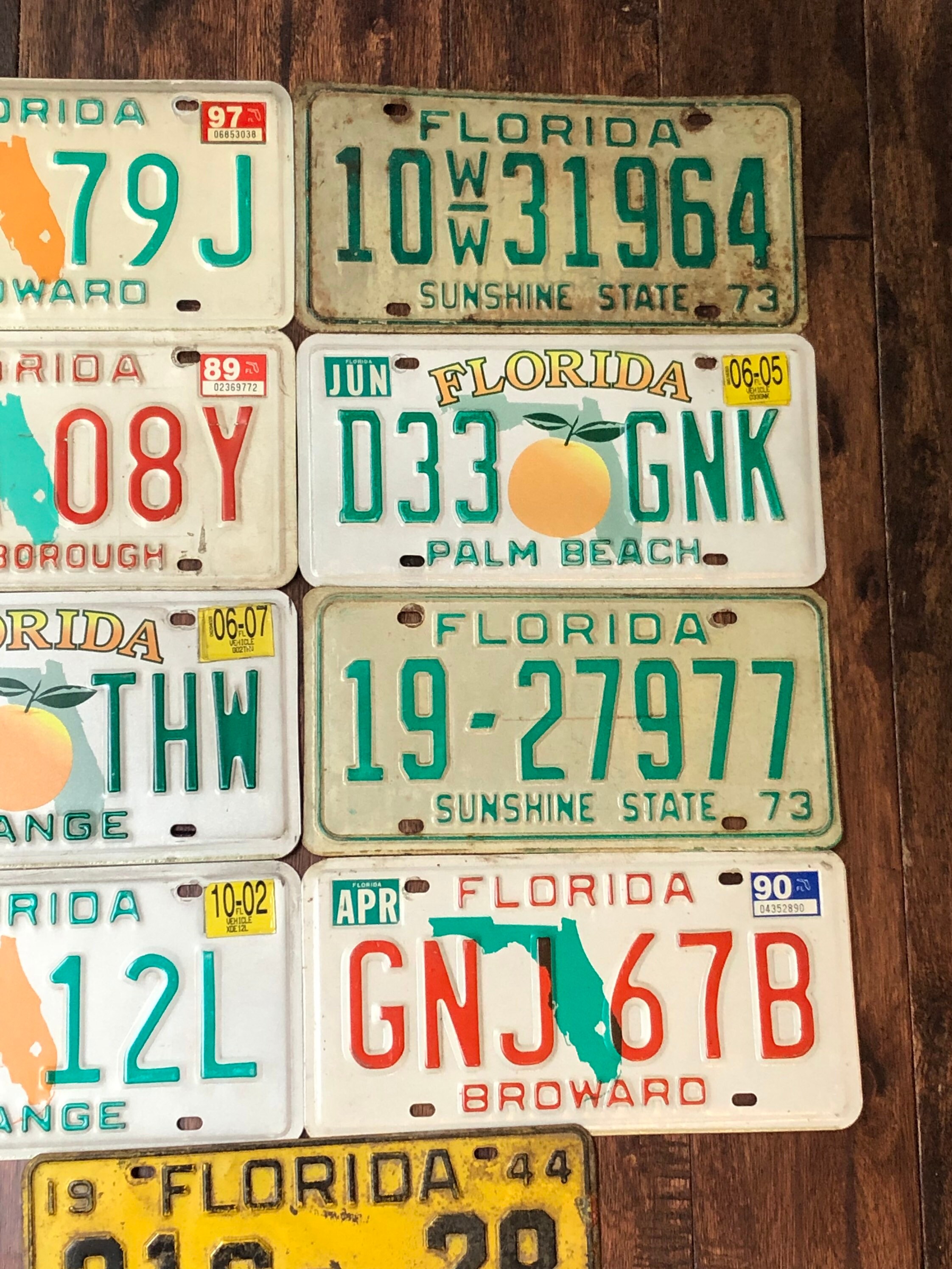 Florida Choice of License Plate pick Your Plate License - Etsy