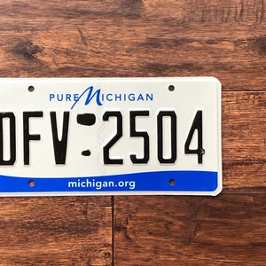 Op de afbeelding: Een wit kenteken van Michigan met blauwe letters en een blauw golfontwerp. Het kentekennummer is "DFV-2504". De tekst "PURE MICHIGAN" en "michigan.org" zijn ook zichtbaar.