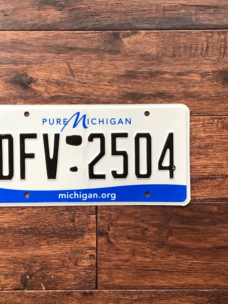 Op de afbeelding: Een wit kenteken van Michigan met blauwe letters en een blauw golfontwerp. Het kentekennummer is "DFV-2504". De tekst "PURE MICHIGAN" en "michigan.org" zijn ook zichtbaar.