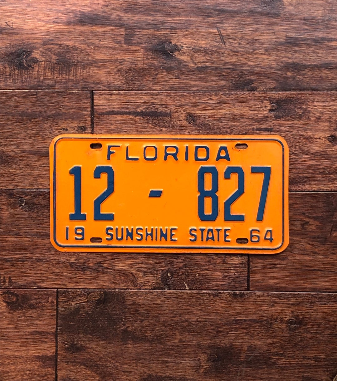 License Plate Florida 1964, Florida License Plate Lake County, Florida