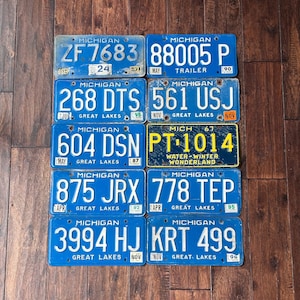 Michigan choice of  license plate, pick your plate,  license plates Michigan rusty worn out,  Michigan license plates 1967 1987 1990 1992
