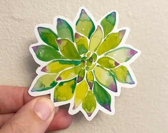 Watercolor Succulent Plant Sticker: High-Gloss Vinyl Decal