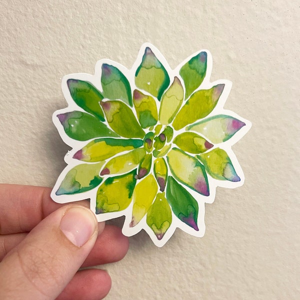 Watercolor Succulent Sticker, Watercolor Succulent Plant Decal, Gift
