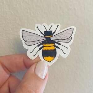 Bee Vinyl Sticker, Gift