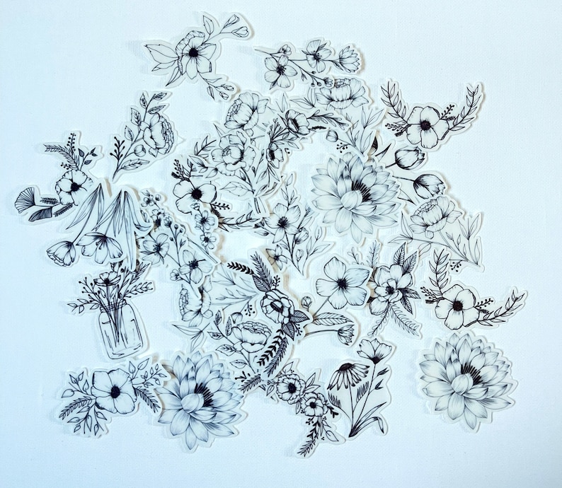 Puede incluir: Pegatinas florales de arte de l&iacute;nea en blanco y negro con varias flores, hojas y tallos. Las pegatinas est&aacute;n dispuestas en un grupo, creando un dise&ntilde;o delicado y caprichoso.
