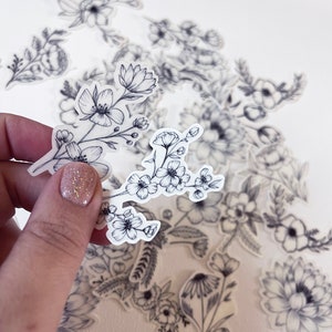 Puede incluir: Una hoja de pegatinas transparentes con dibujos de l&iacute;neas negras de varios dise&ntilde;os florales. Las pegatinas presentan flores, hojas y tallos delicados.