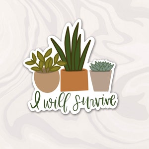 Plant Lover Sticker Bundle, Plant stickers, botanical sticker, flower decals, plant lady gift, Set of 9 stickers, Gift image 6