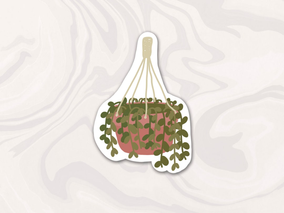 Macrame Plant Vinyl Sticker, Gift - Etsy