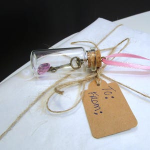 1 Key to my Heart in Glass Bottle, Valentines Gift Key to my Heart Ornament, Miniature Key Pink heart and gift bag Tag/Ornament, Keepsake