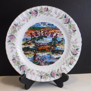 Arizona Souvenir Plate Trimmed in Pink Roses, Arizona Road Trip Souvenir, Arizona State 10 in Plate, Arizona Landmark Souvenir Plate, MER