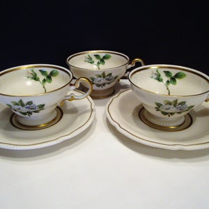 Castleton China York Rose Teacup & Saucer Set: Gold Trimmed Pedestal Footed Cup