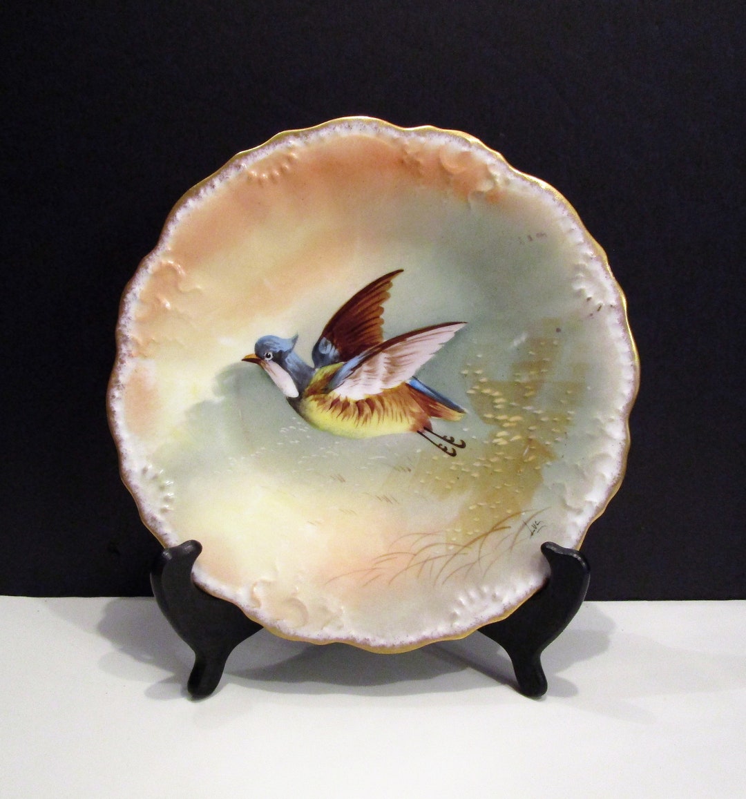 Limoges Bird Plate L S & S Lewis Strauss Limoges France Etsy