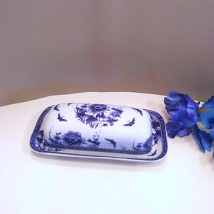 Può includere: Un burriera rettangolare in ceramica con base bianca e coperchio coordinato. La superficie presenta un motivo floreale blu con fiori dettagliati e piccoli insetti volanti, rifinito con un bordo decorativo blu lungo i bordi.