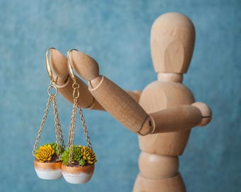 Vetplantenoorbellen van polymeerklei, oorbellen in potplant, roestvrij staal
