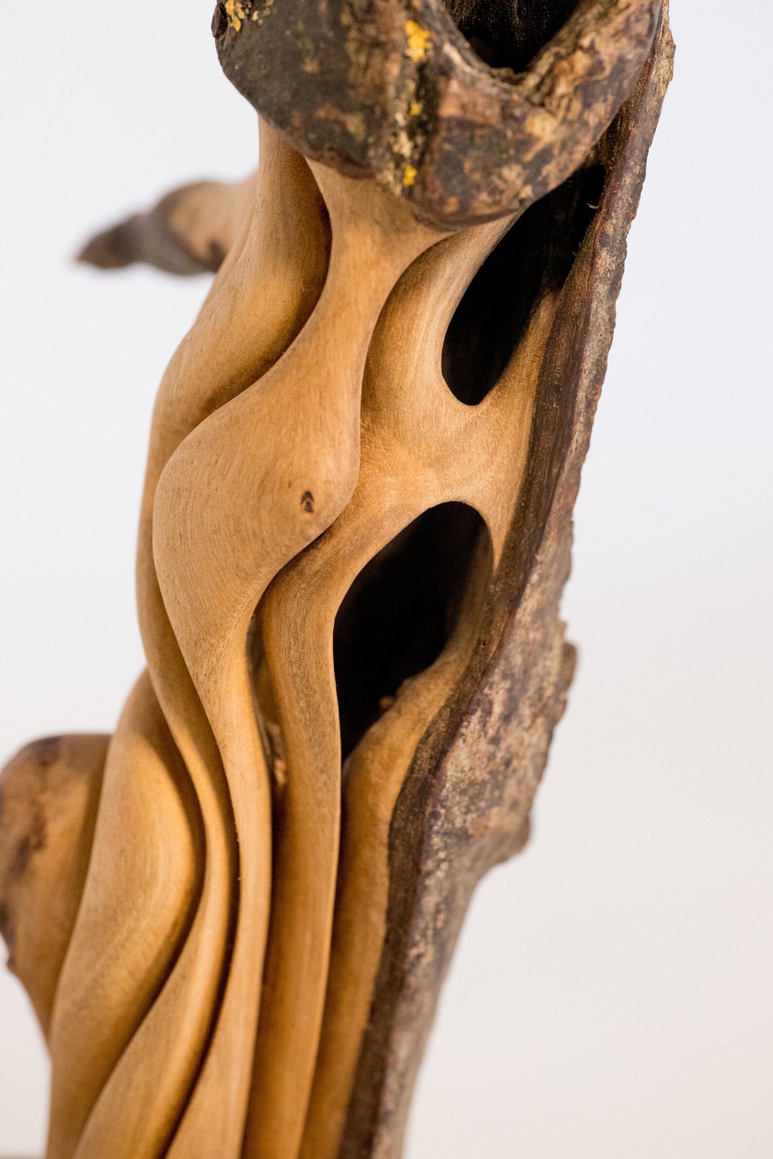 Woodsculpture/vase Apple Tree on Cherry Etsy UK