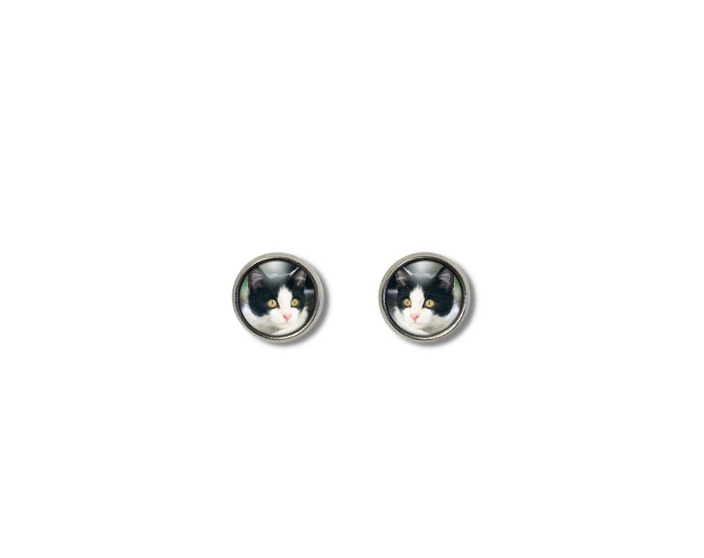 May include: A pair of silver stud earrings with a black and white cat face image in the center of each earring.