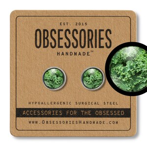 May include: A pair of hypoallergenic surgical steel earrings with a green kale design. The earrings are displayed on a brown card with the text "OBSESSORIES HANDMADE" and "ACCESSORIES FOR THE OBSESSED".