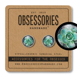 Sukkulenten Ohrringe Sukkulenten Ohrstecker Post Sukkulenten Schmuck Sukkulenten Geschenk Kaktus Ohrringe Kaktus Ohrstecker Kaktus Schmuck Sukkulenten Pflanze