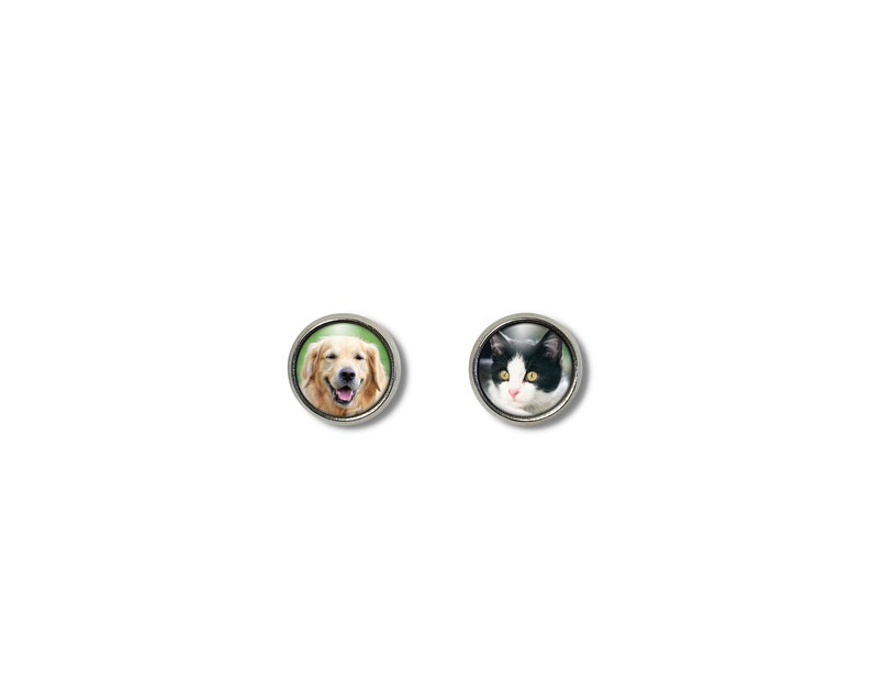 May include: A pair of silver earrings with a round image of a golden retriever dog on one earring and a black and white cat on the other earring.