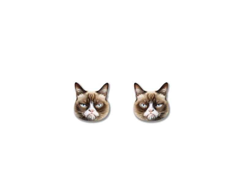 May include: A pair of earrings featuring the face of a grumpy cat. The earrings have a white background with the cat's face in brown, white, and gray tones. The cat has a distinctive frown and blue eyes.