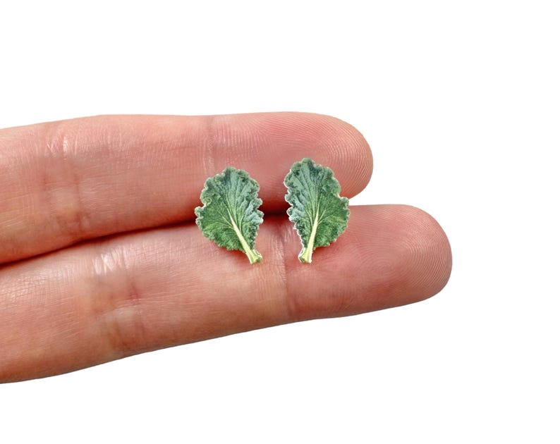 May include: Two leaf-shaped earrings. Each earring is a detailed miniature of a green kale leaf with a textured surface and a light green stem. The earrings are small, likely for pierced ears.