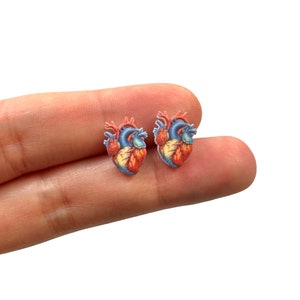 May include: A pair of anatomical heart-shaped stud earrings. The earrings feature a detailed illustration of a human heart, with blue, red, and yellow hues. The earrings are small and appear to be made of a glossy material.