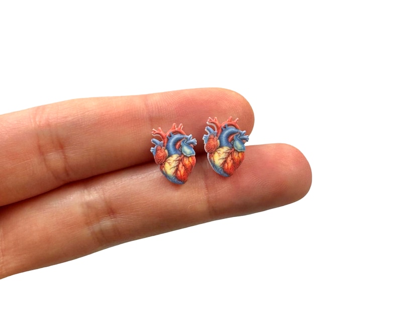 May include: A pair of anatomical heart-shaped stud earrings. The earrings feature a detailed illustration of a human heart, with blue, red, and yellow hues. The earrings are small and appear to be made of a glossy material.