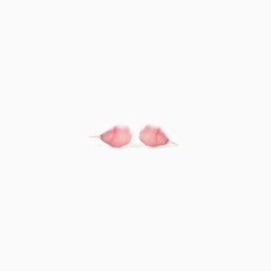 May include: Two small, pink flower petals with a gradient of color from white to pink, set against a stark white background. The petals are slightly translucent, with a delicate, soft appearance.