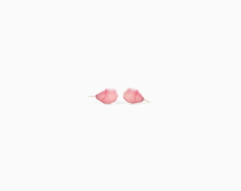 May include: Two small, pink flower petals with a gradient of color from white to pink, set against a stark white background. The petals are slightly translucent, with a delicate, soft appearance.