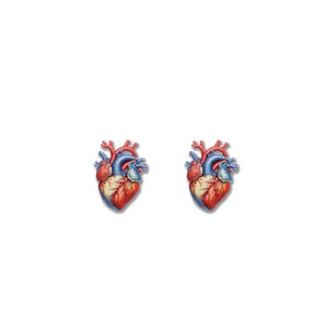 May include: Two anatomical heart illustrations. Each heart is depicted with red, blue, and yellow-orange hues, showcasing the major blood vessels and chambers. The hearts are set against a plain white background.