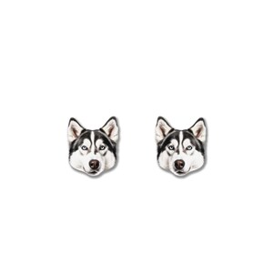May include: A pair of earrings featuring the face of a Siberian Husky dog. The earrings have a white background, with the dog's face in black, white, and brown. The dog has blue eyes.