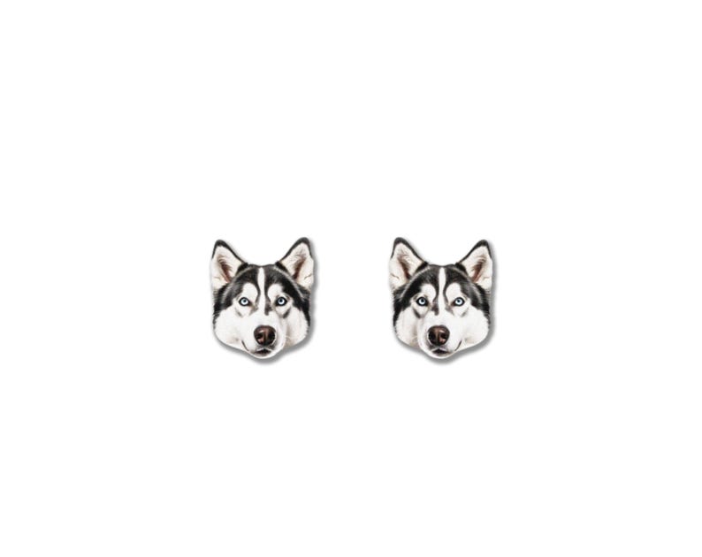 May include: A pair of earrings featuring the face of a Siberian Husky dog. The earrings have a white background, with the dog's face in black, white, and brown. The dog has blue eyes.