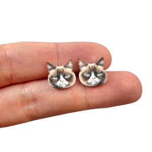 May include: A pair of small, cat-shaped earrings. Each earring features the face of a grumpy-looking cat with a brown and white coat, blue eyes, and a frown. The earrings are held against a white background.